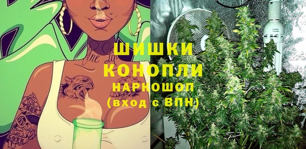индика Володарск