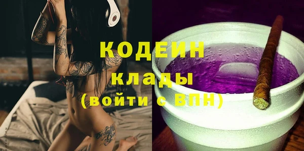индика Володарск