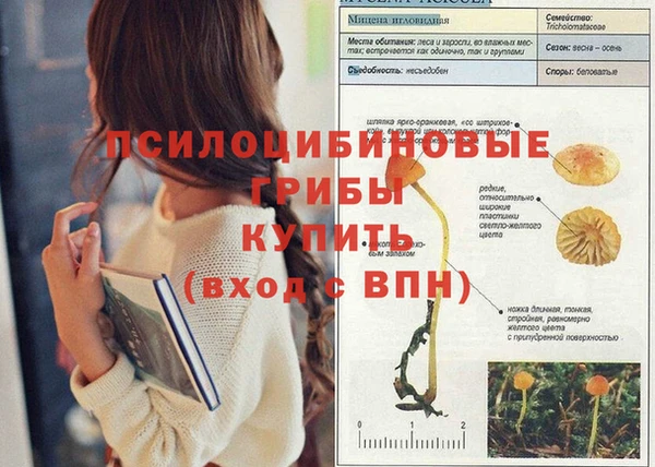 мескалин Верея